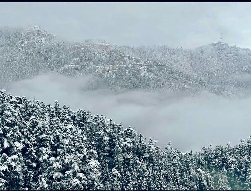 Dev Homestay Shimla panoramic snow mountain and pine valley view